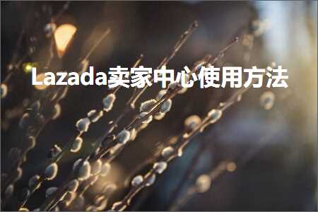 跨境电商知识:Lazada卖家中心使用方法